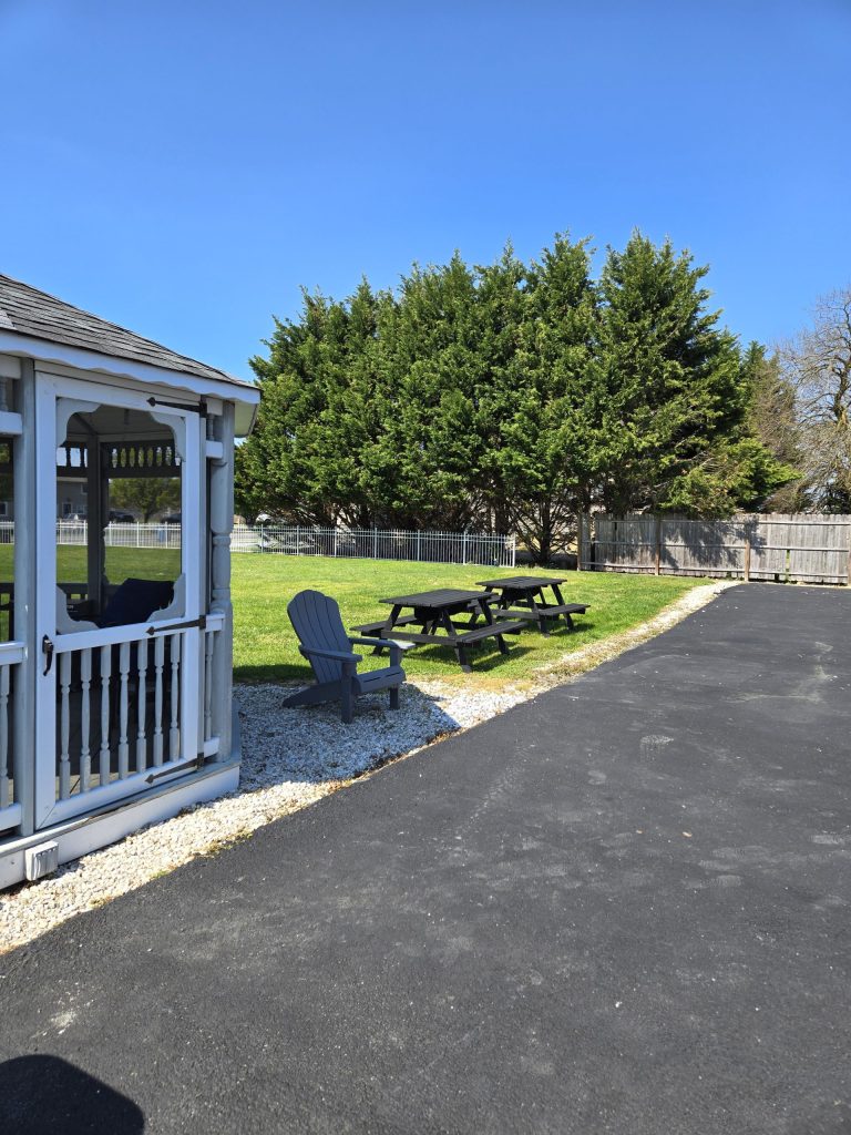 Outdoor seating area with trees and a blue sky background